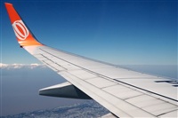 Javier de la Cruz - CANARY ISLANDS SPOTTING. Click to see full size photo