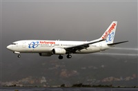 Javier de la Cruz - CANARY ISLANDS SPOTTING. Click to see full size photo