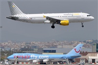 Rubn Gil - Noisy Spotters. Click to see full size photo