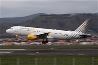 Javier de la Cruz - CANARY ISLANDS SPOTTING. Click to see full size photo