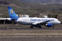 ©Alfonso Solís - Asociación Canary Islands Spotting. Click to see full size photo ©Alfonso Solís - Asociación Canary Islands Spotting. Click to see full size photo