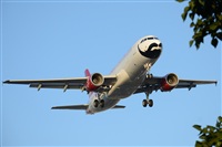 Ana L@dy Spotter. Click to see full size photo