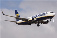 Alfonso Sols - Asociacin Canary Islands Spotting. Click to see full size photo