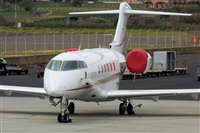 Ayoze Santana Mendez - Canary Islands Spotting. Click to see full size photo