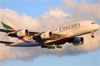 Rubn Gil - Noisy Spotters. Click to see full size photo