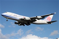 Miguel Alia - Noisy Spotters. Click to see full size photo