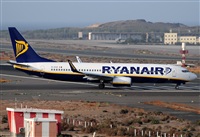 ©Alejandro H.L - Gran Canaria Spotters. Click to see full size photo ©Alejandro H.L - Gran Canaria Spotters. Click to see full size photo