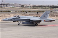 Alfonso Sols - Asociacin Canary Islands Spotting. Click to see full size photo