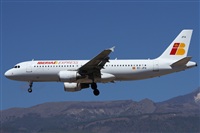 ©Alfonso Solís - Asociación Canary Islands Spotting. Click to see full size photo ©Alfonso Solís - Asociación Canary Islands Spotting. Click to see full size photo
