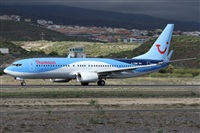 Alfonso Sols - Asociacin Canary Islands Spotting. Click to see full size photo