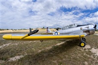 Ramon Jordi. Click to see full size photo