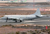 Alejandro H.L - Gran Canaria Spotters. Click to see full size photo