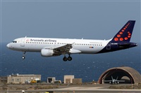 ©Adolfo Bento - Gran Canaria Spotters. Click to see full size photo ©Adolfo Bento - Gran Canaria Spotters. Click to see full size photo