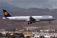 ©Adolfo Bento - Gran Canaria Spotters. Click to see full size photo ©Adolfo Bento - Gran Canaria Spotters. Click to see full size photo
