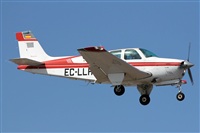Adrin Alonso Lemes - Lanzarote Spotters. Click to see full size photo