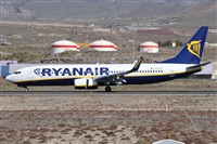 Alfonso Sols - Asociacin Canary Islands Spotting. Click to see full size photo