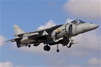 Fco Javier Garca Ruiz. Click to see full size photo