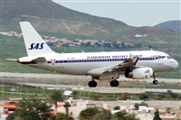 ©J. Victor Vega-Gran Canaria Spotters. Click to see full size photo ©J. Victor Vega-Gran Canaria Spotters. Click to see full size photo
