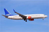 Miguel A. gueda Rguez.  (CANARY ISLANDS SPOTTING). Click to see full size photo
