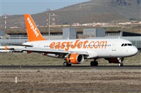 ©Alfonso Solís - Asociación Canary Islands Spotting. Click to see full size photo ©Alfonso Solís - Asociación Canary Islands Spotting. Click to see full size photo
