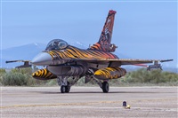 Adolfo Bento - Gran Canaria Spotters. Click to see full size photo