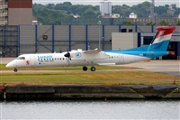 Miguel A. gueda Rguez.  (CANARY ISLANDS SPOTTING). Click to see full size photo