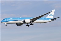 Rubn Gil - Noisy Spotters. Click to see full size photo