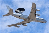 Bartolom Fernndez - Gran Canaria Spotters. Click to see full size photo
