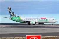 Miguel A. gueda Rguez.  (CANARY ISLANDS SPOTTING). Click to see full size photo