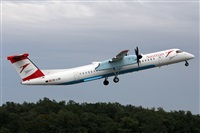 Adrin Alonso Lemes - Lanzarote Spotters. Click to see full size photo