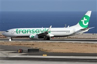Alfonso Sols - Asociacin Canary Islands Spotting. Click to see full size photo