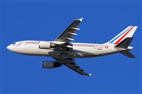 Miguel A. gueda Rguez.  (CANARY ISLANDS SPOTTING). Click to see full size photo