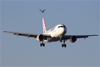 Adrin Alonso Lemes - Lanzarote Spotters. Haz click para ampliar