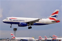 Miguel A. gueda Rguez.  (CANARY ISLANDS SPOTTING). Click to see full size photo