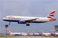 Miguel A. gueda Rguez.  (CANARY ISLANDS SPOTTING). Click to see full size photo