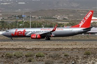 Alfonso Sols - Asociacin Canary Islands Spotting. Click to see full size photo