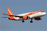 Alfonso Sols - Asociacin Canary Islands Spotting. Click to see full size photo