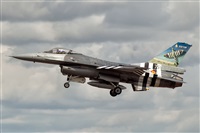 Javier de la Cruz - CANARY ISLANDS SPOTTING. Click to see full size photo
