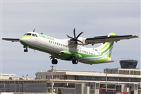 ©Daniel Santos Batista - Canary Islands Spotting. Click to see full size photo ©Daniel Santos Batista - Canary Islands Spotting. Click to see full size photo