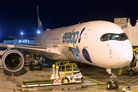 Miguel A. gueda Rguez.  (CANARY ISLANDS SPOTTING). Click to see full size photo