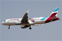 ©Alfonso Solís - Asociación Canary Islands Spotting. Click to see full size photo ©Alfonso Solís - Asociación Canary Islands Spotting. Click to see full size photo