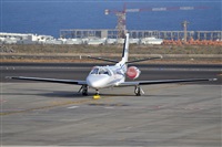 Miguel A. gueda Rguez.  (CANARY ISLANDS SPOTTING). Click to see full size photo