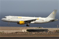©Alfonso Solís - Asociación Canary Islands Spotting. Click to see full size photo ©Alfonso Solís - Asociación Canary Islands Spotting. Click to see full size photo