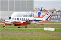 Miguel A. gueda Rguez.  (CANARY ISLANDS SPOTTING). Click to see full size photo