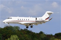 Miguel A. gueda Rguez.  (CANARY ISLANDS SPOTTING). Click to see full size photo