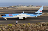 Miguel A. gueda Rguez.  (CANARY ISLANDS SPOTTING). Click to see full size photo