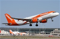 Alfonso Sols - Asociacin Canary Islands Spotting. Click to see full size photo