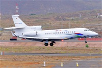 Miguel A. gueda Rguez.  (CANARY ISLANDS SPOTTING). Click to see full size photo