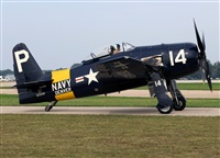 ©Javier Rodríguez. Click to see full size photo ©Javier Rodríguez. Click to see full size photo