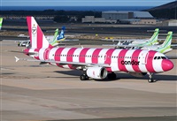 Alejandro H.L - Gran Canaria Spotters. Click to see full size photo